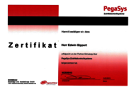 Zertifikat PegaSys Zutrittskontrollsysteme